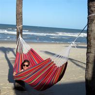 hammocks