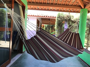 Indigo hammock